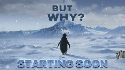 But Why Penguin Stream Overlay Pack | Nihilist Penguin Walking Mountains Twitch Streamer | Arctic Penguin Meme| Ice Snow Winter Lone Penguin
