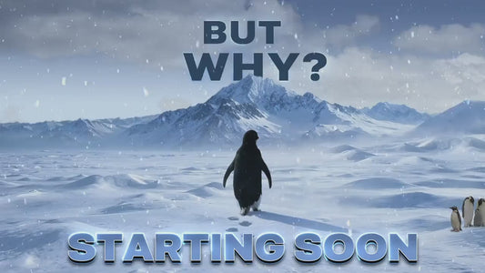 But Why Penguin Stream Overlay Pack | Nihilist Penguin Walking Mountains Twitch Streamer | Arctic Penguin Meme| Ice Snow Winter Lone Penguin