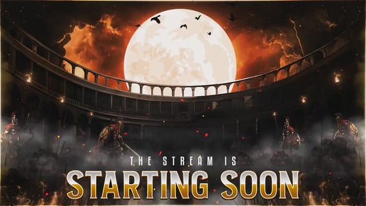 Gladiator Twitch Overlay | Animated Medieval Battle Stream | Warrior Arena Screens | Streaming Scenes | Gaming Panels | Streaming Alerts